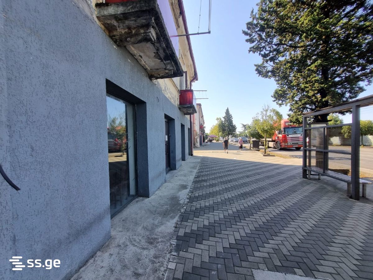 Commercial Space For Sale. Poti view 4