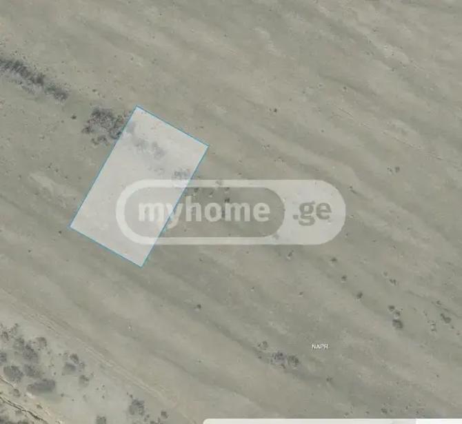 https://static.ss.ge/20260902/3_b8be0f59-bf4c-4e48-99f4-7c0fbf2d3498_Thumb.jpg