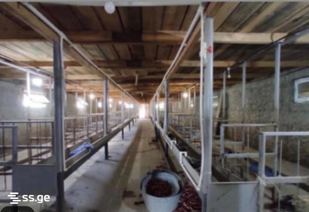 Store-Industrial Property For Sale. Kaspi view 2