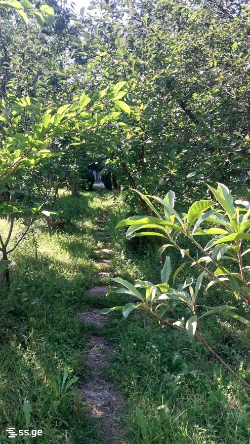 Продажа 8-комната Summer Cottage view 12