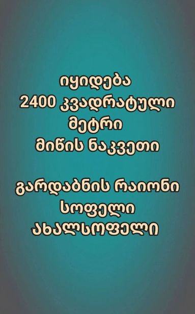 https://static.ss.ge/20260902/6_fc0a0c8f-9e51-4cec-9481-527861473362_Thumb.jpg