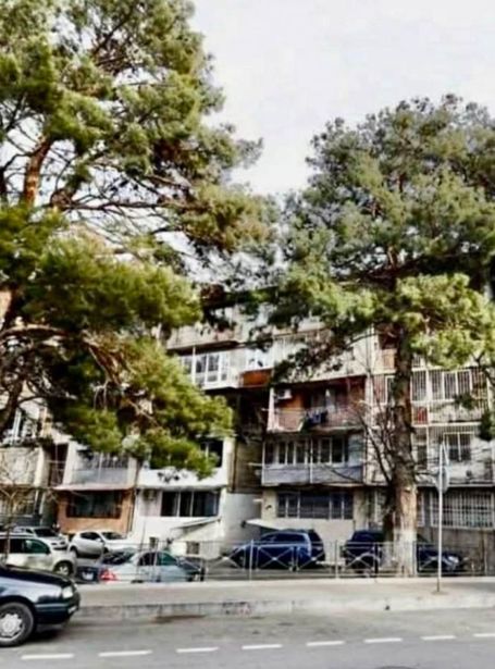 https://static.ss.ge/20260902/7_da7a864a-6cb0-45fc-b5bb-57b32f9dd366_Thumb.jpg