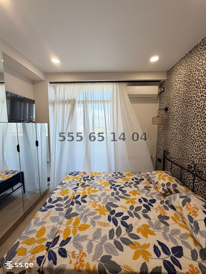 1 Room Apartment Daily Rent In Rustavi view 27