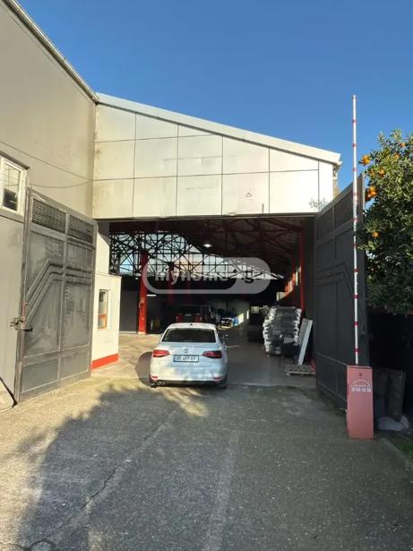 https://static.ss.ge/20260903/10_38d626b6-4639-452e-819b-d3acb9e37d0c_Thumb.jpg