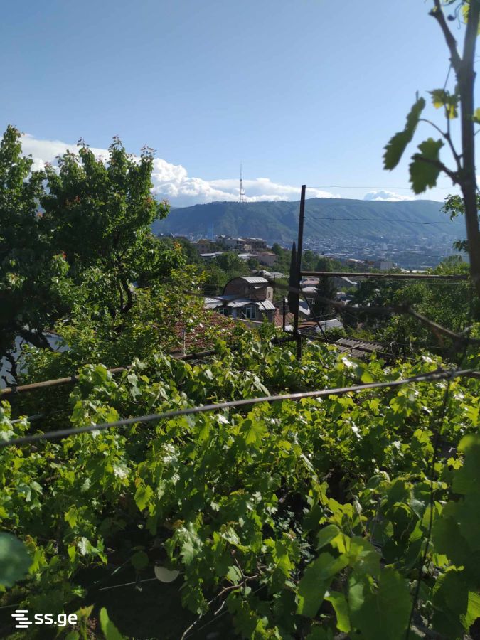 Land For Sale. Chugureti view 5