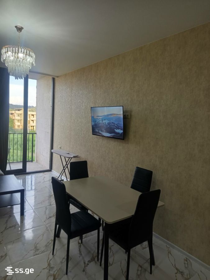 2 Room Flat Daily Rent. Shekvetili view 3