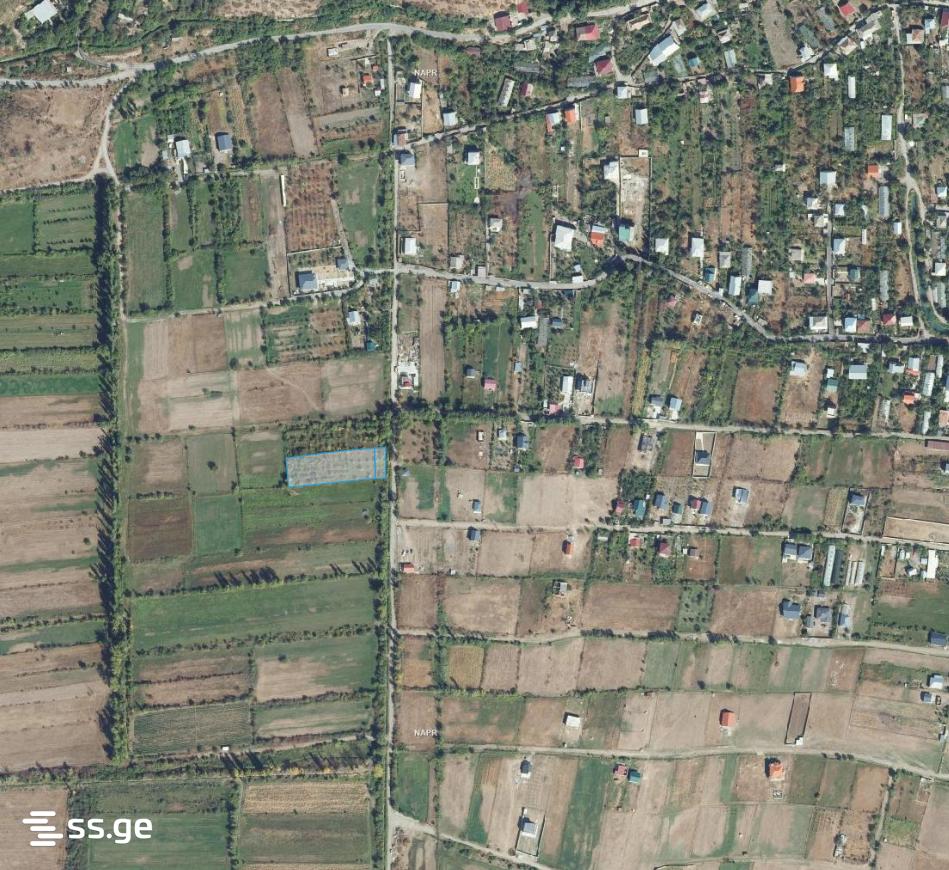 Land For Sale. Natakhtari view 12