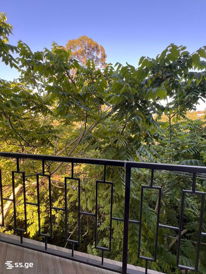 6 Room Summer Cottage For Rent. Akhalsopeli view 9