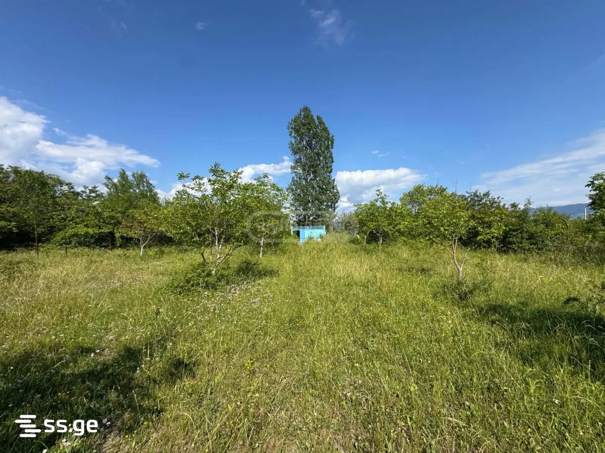 Land For Sale. Natakhtari view 4