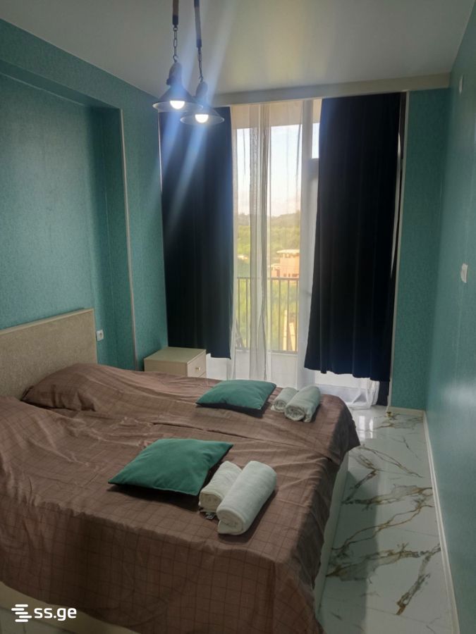 2 Room Flat Daily Rent. Shekvetili view 1
