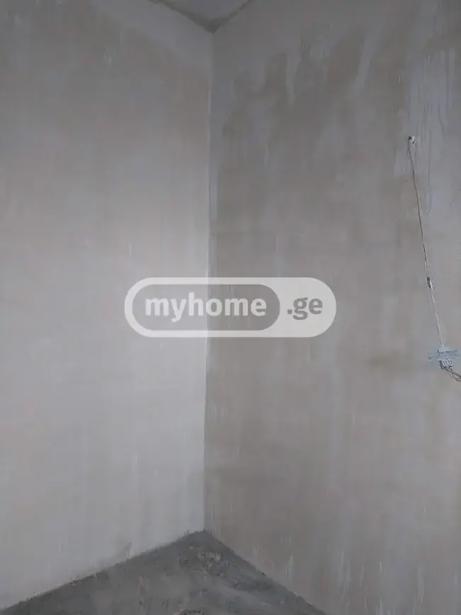 https://static.ss.ge/20260903/17_db195bab-95d4-496b-beb1-20747b433ed7_Thumb.jpg