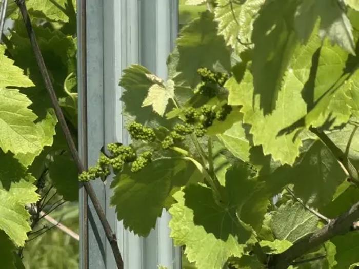 https://static.ss.ge/20260903/18_01d479a1-79e9-49a8-b38a-2f5ce3218a11_Thumb.jpg