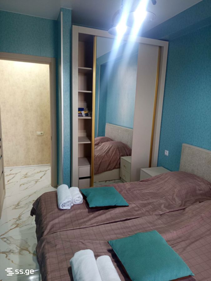 2 Room Flat Daily Rent. Shekvetili view 6