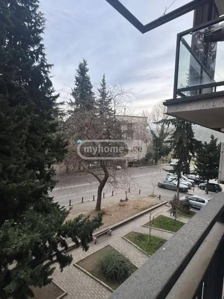 https://static.ss.ge/20260903/19_0f7dde90-cab0-4c7a-b96d-b9982613f156_Thumb.jpg