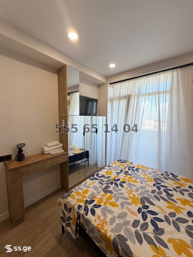1 Room Apartment Daily Rent In Rustavi view 28