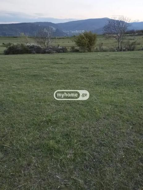 https://static.ss.ge/20260903/3_3234c30c-e39f-4bdf-af73-1f1d3e16c851_Thumb.jpg