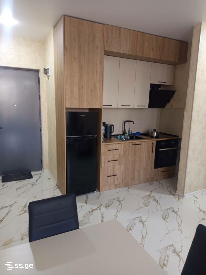 2 Room Flat Daily Rent. Shekvetili view 2