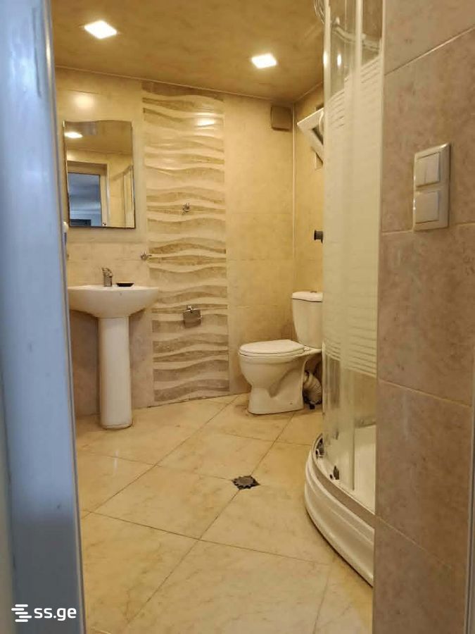 Hotel For Rent. Kutaisi view 11