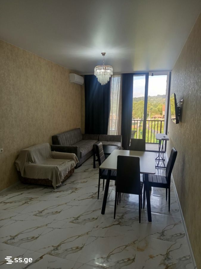 2 Room Flat Daily Rent. Shekvetili view 5