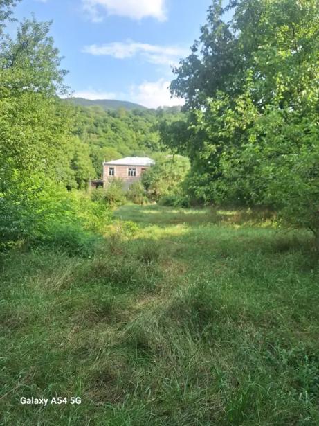 https://static.ss.ge/20260903/6_857c3057-c3de-4c23-a149-b73c9b0fd0fd_Thumb.jpg