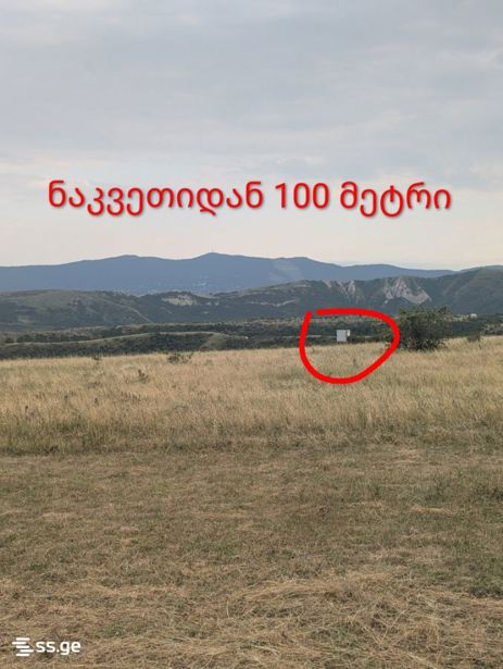https://static.ss.ge/20260903/6_f452aec4-bfe2-4b10-a1e4-ecdb83124a30_Thumb.jpg