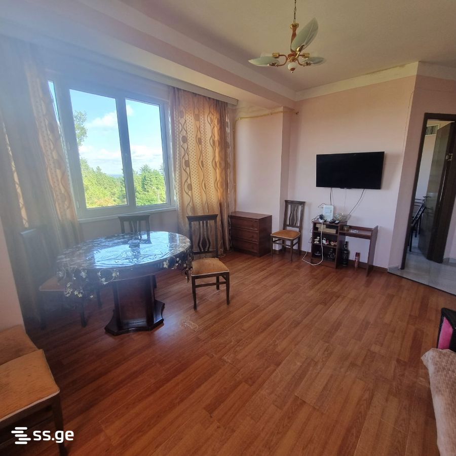 2 Room Flat For Rent. Poti view 1