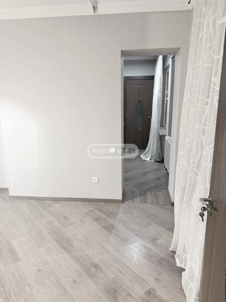https://static.ss.ge/20260903/7_fa8d80ab-409d-48e9-8acb-53265977330e_Thumb.jpg
