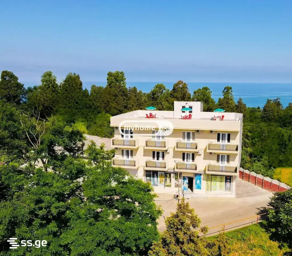 1 Room Flat For Rent. Tsikhisdziri view 1