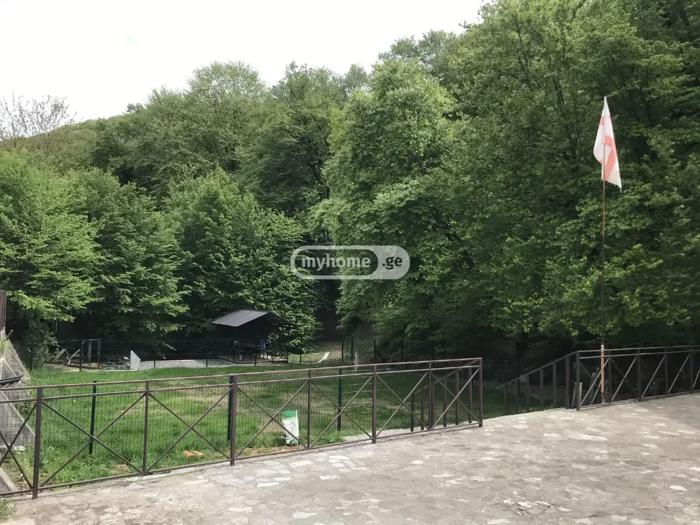 https://static.ss.ge/20260903/8_bd368df9-d392-4d90-a86a-4bdc875168ea_Thumb.jpg