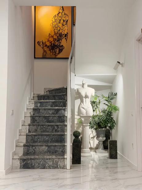 https://static.ss.ge/20260903/8_e8d5ff39-4629-4884-80f7-966cdf8c5074_Thumb.jpg