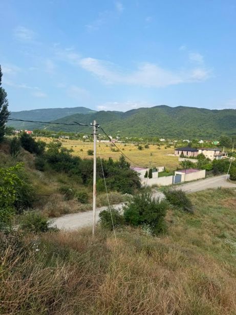 https://static.ss.ge/20260904/0_b9ed7603-3b61-49d1-badc-ae09171bf250_Thumb.jpg