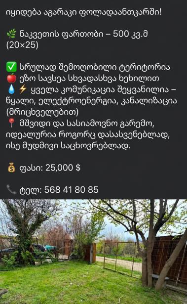 https://static.ss.ge/20260904/1_1d659de9-2649-44e4-89d4-bccf6b5c3ac0_Thumb.jpg