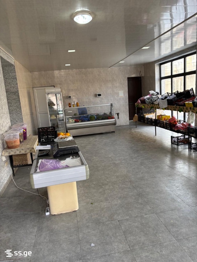 Commercial Space For Sale. Gori view 11