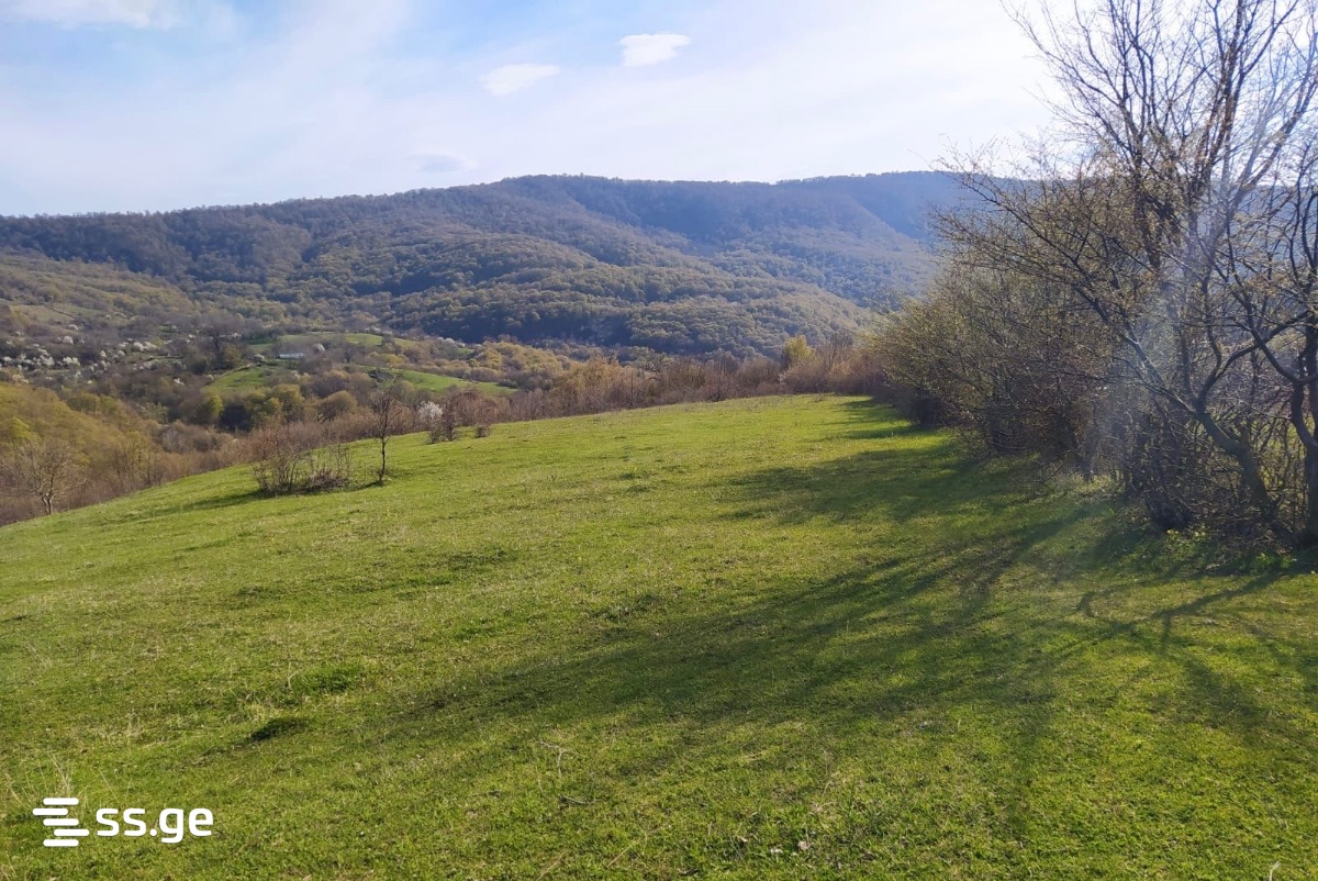 Land For Sale. Tianeti view 3