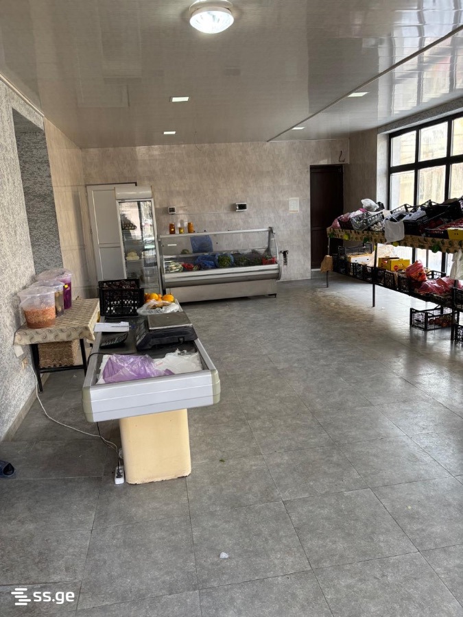 Commercial Space For Sale. Gori view 12