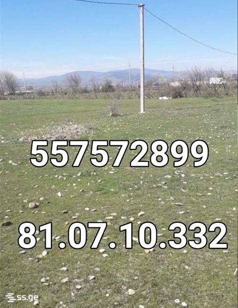 https://static.ss.ge/20260904/9_28a356be-982d-4851-bca7-cea8158932fa_Thumb.jpg