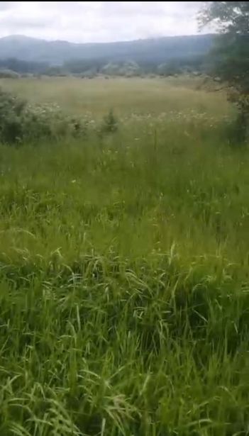 https://static.ss.ge/20260905/14_3254e93d-e7d9-4974-94a5-e31456d67484_Thumb.jpg