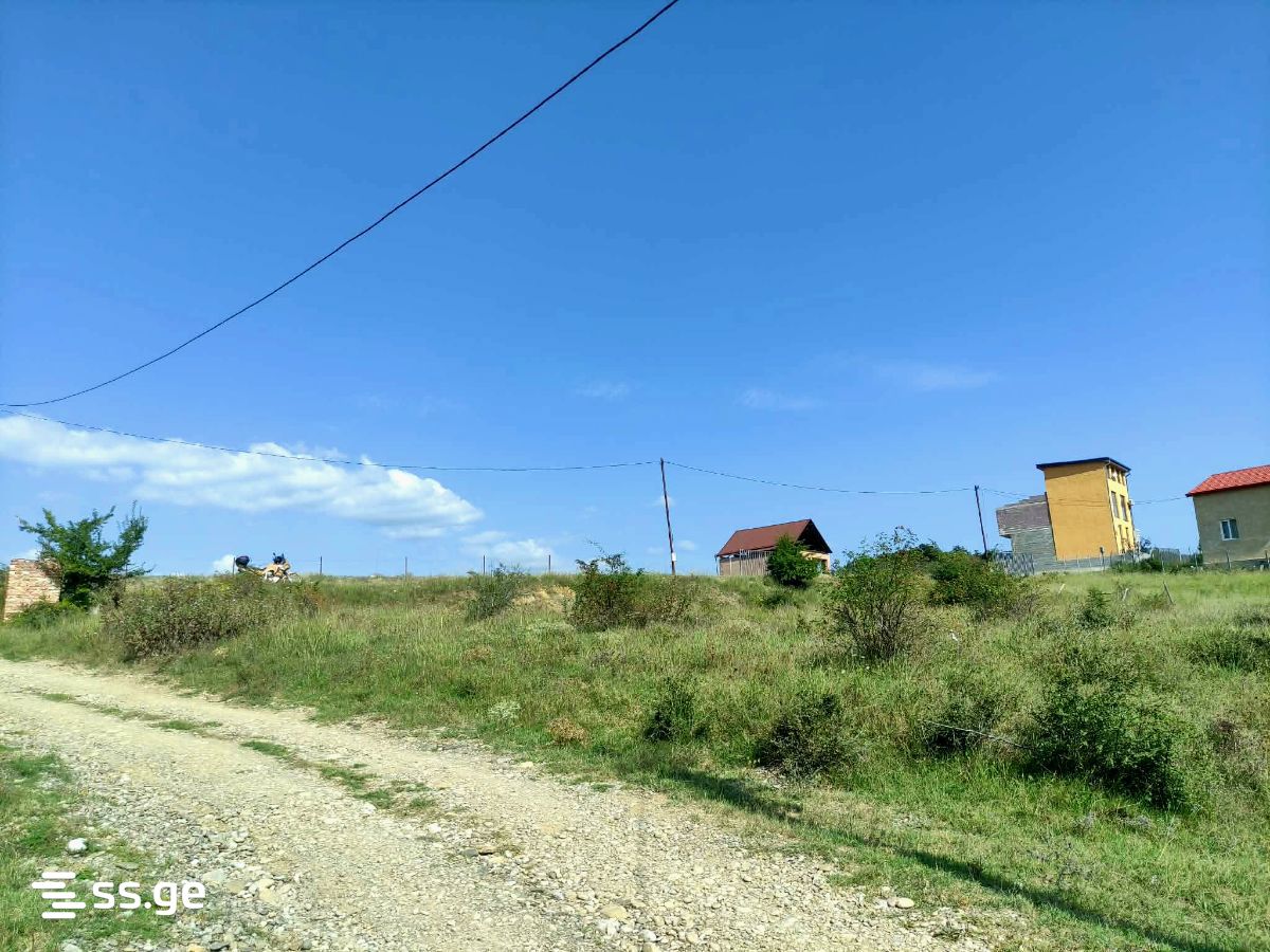 Land For Sale. Mamkoda view 4