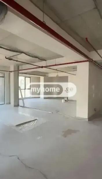 https://static.ss.ge/20260905/16_ec75087f-06ab-4996-8421-1068ac95aa81_Thumb.jpg