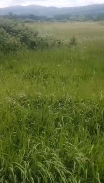 https://static.ss.ge/20260905/1_18ccae29-2806-42af-8b7f-aa67ae72e2c7_Thumb.jpg