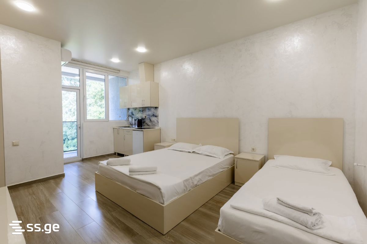 20 Room Hotel For Rent. Kobuleti view 3