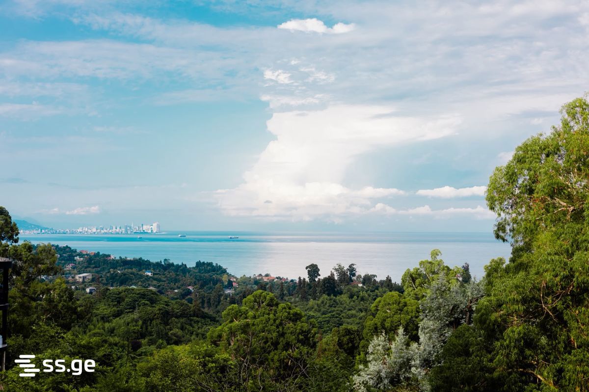 20 Room Hotel For Rent. Kobuleti view 12