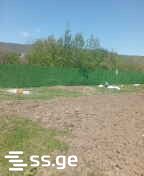 Land For Rent. Tsilkani view 2