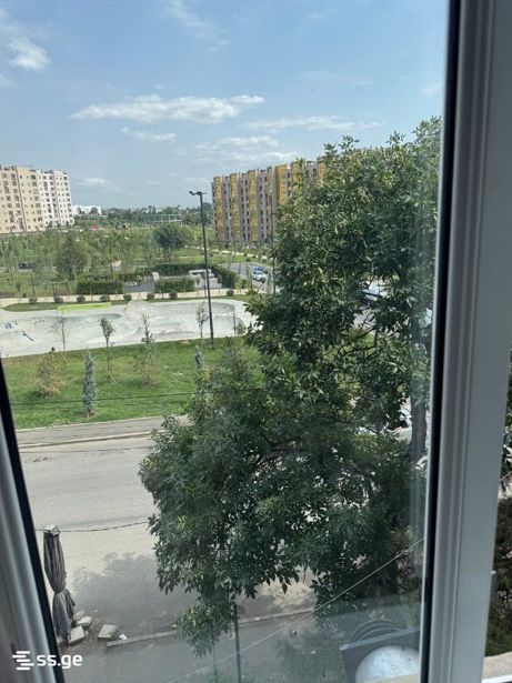https://static.ss.ge/20260906/16_72fdeb20-9878-4ad4-8ddf-3335cbd70675_Thumb.jpg