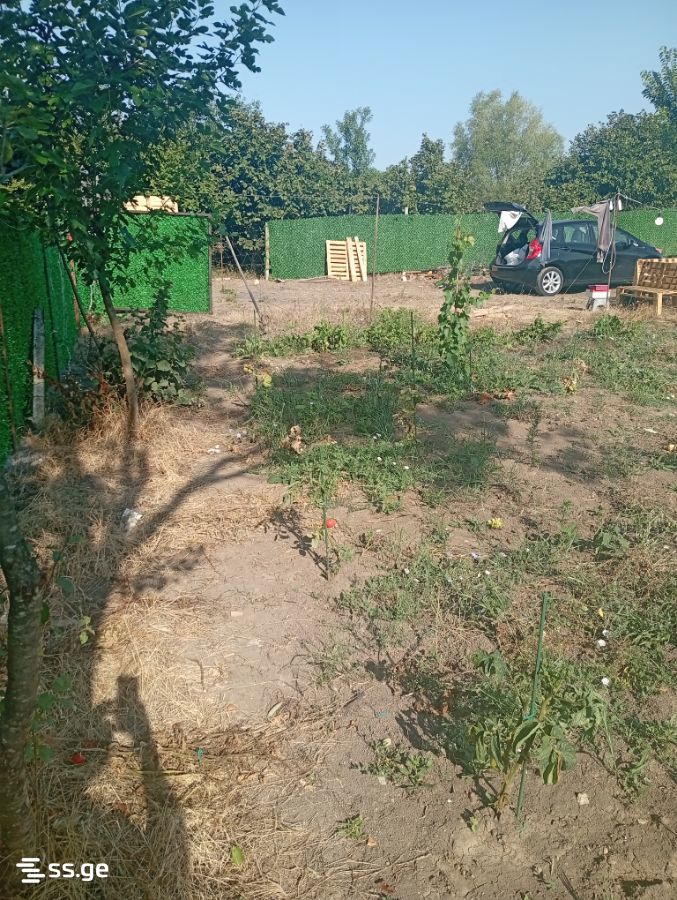 Land For Rent. Tsilkani view 1