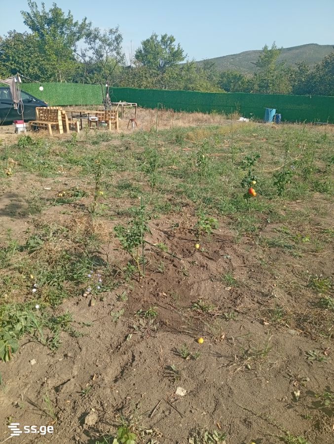 Land For Rent. Tsilkani view 3