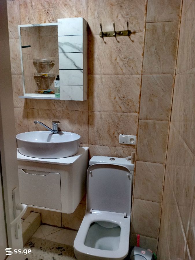 2 Room Flat Daily Rent. Kutaisi view 3