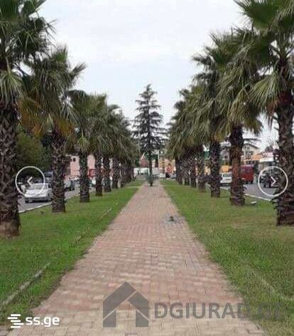 1 Room Flat Daily Rent. Kutaisi view 6