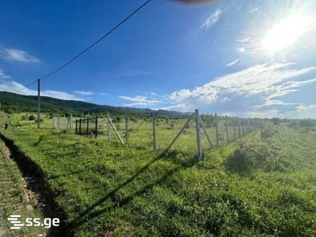 Land For Sale. Navdaraantkari view 2
