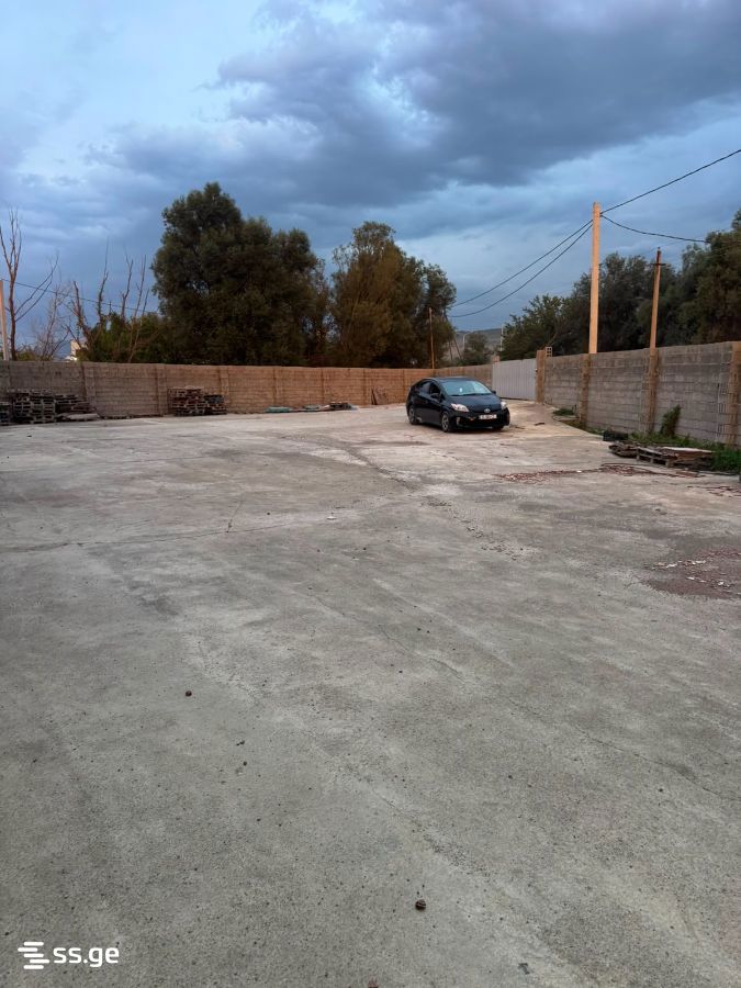 Store-Industrial Property For Sale. Mukhrani view 12